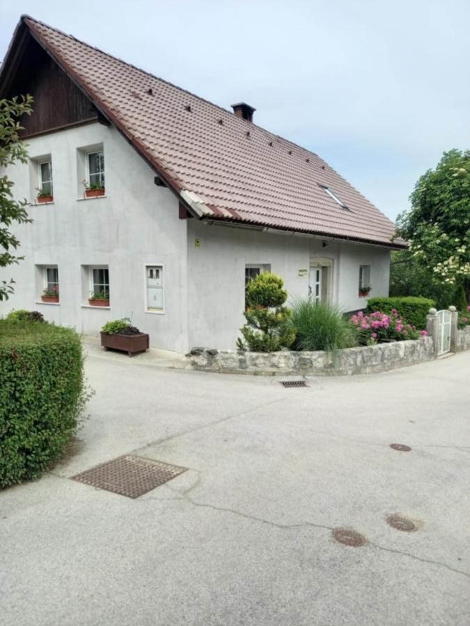 Apartmaji Magda Zgornje Gorje Exteriér fotografie
