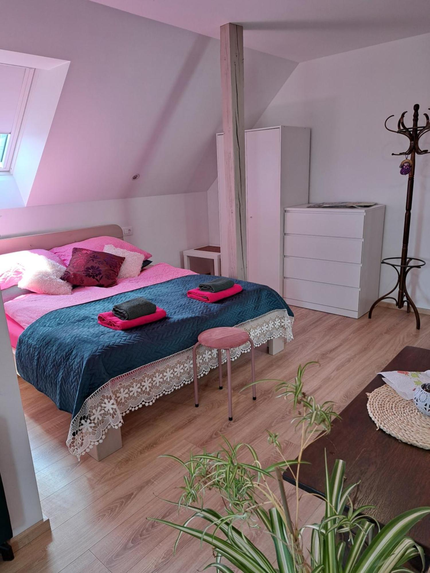 Apartmaji Magda Zgornje Gorje Exteriér fotografie
