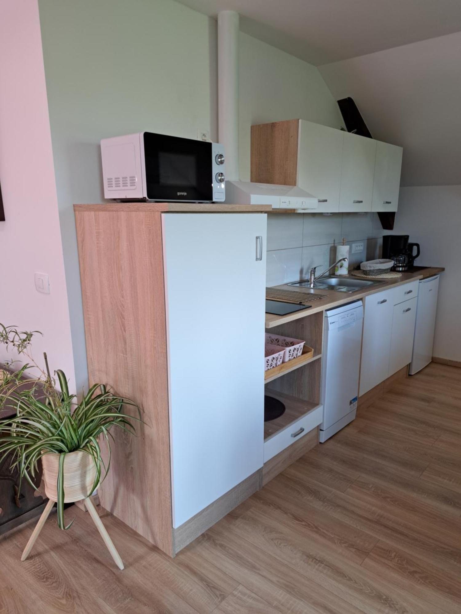 Apartmaji Magda Zgornje Gorje Exteriér fotografie