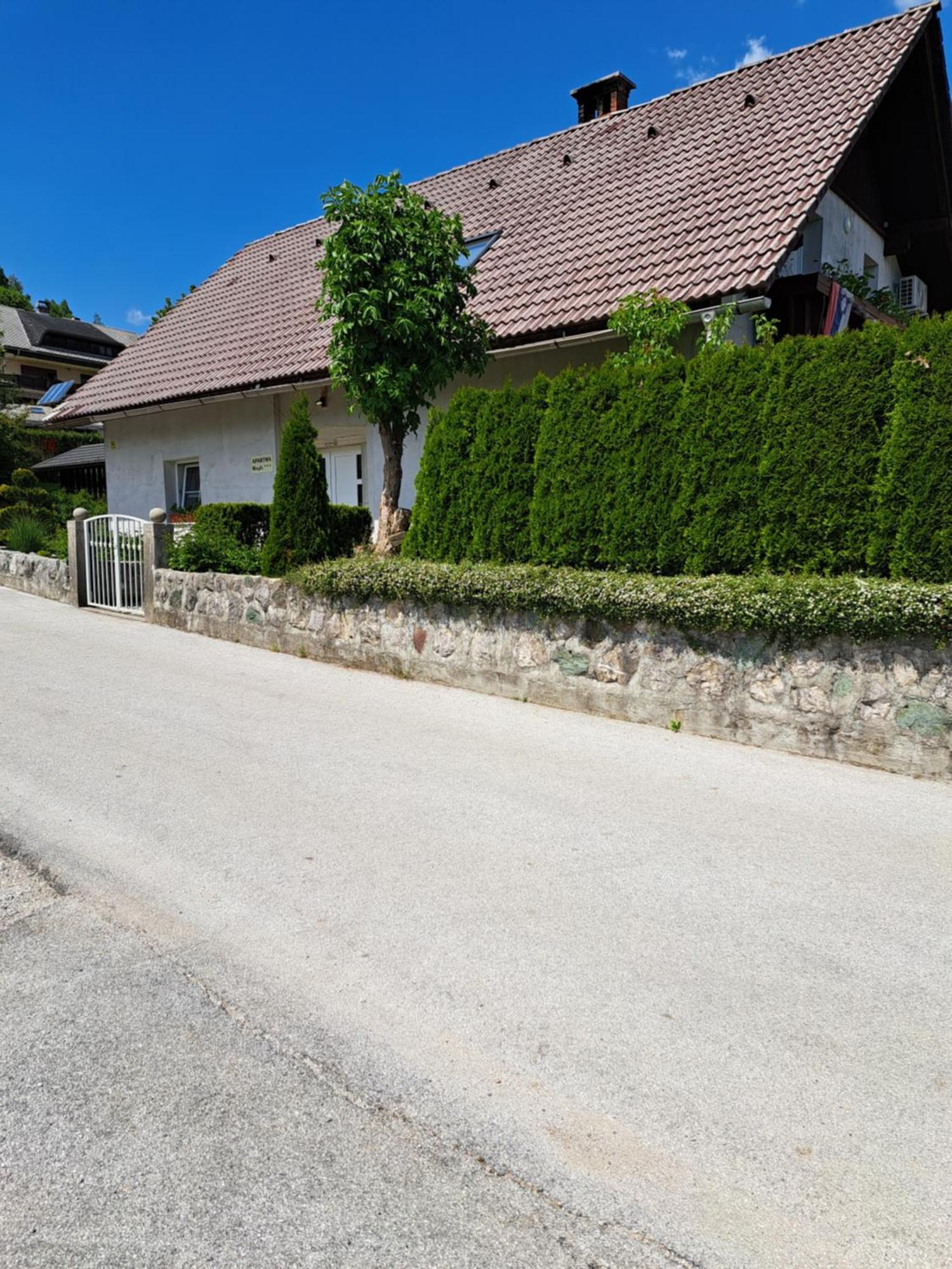 Apartmaji Magda Zgornje Gorje Exteriér fotografie